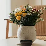 Athera Mykonos 4*