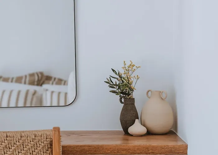 Ξενοδοχείο με διαμερίσματα Athera Mykonos